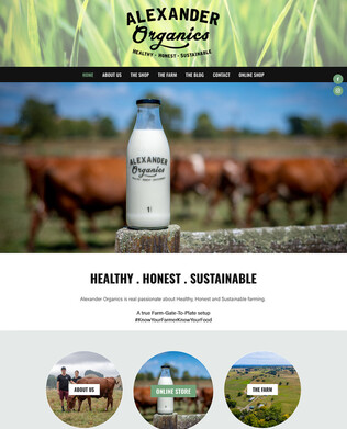 Website design | Custom illustration | Alexander Organics